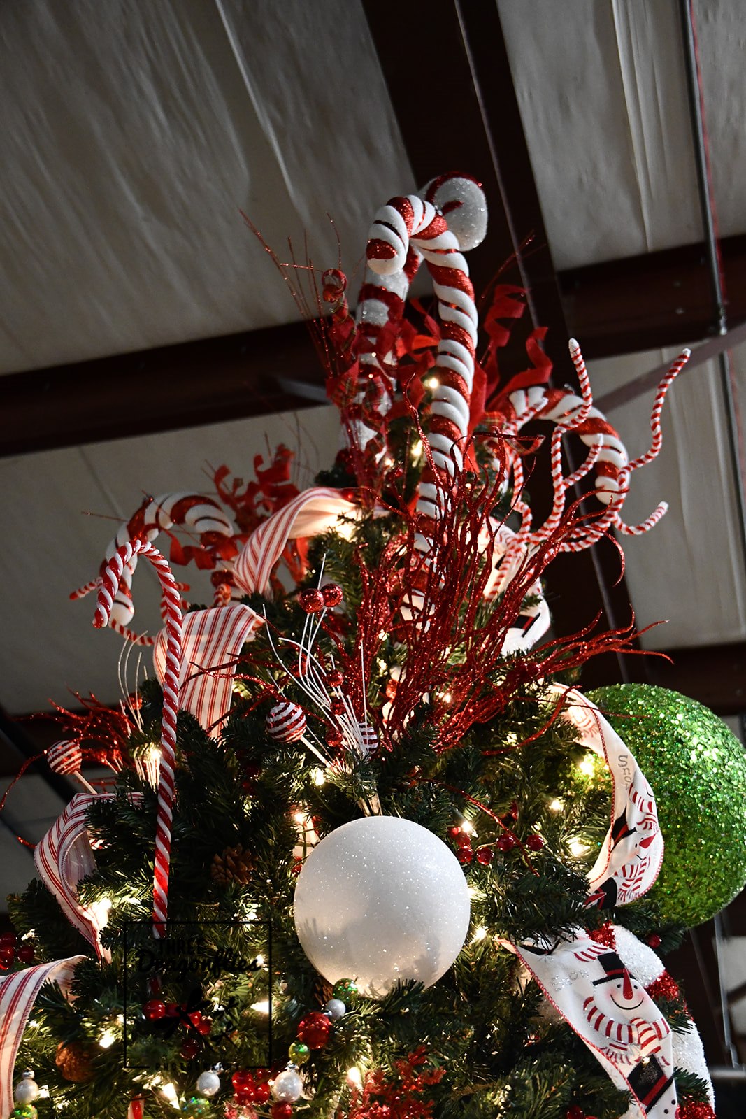 Santa Express (13)